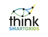 logo-Think Smart Grids