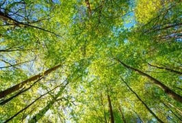 environment-industry