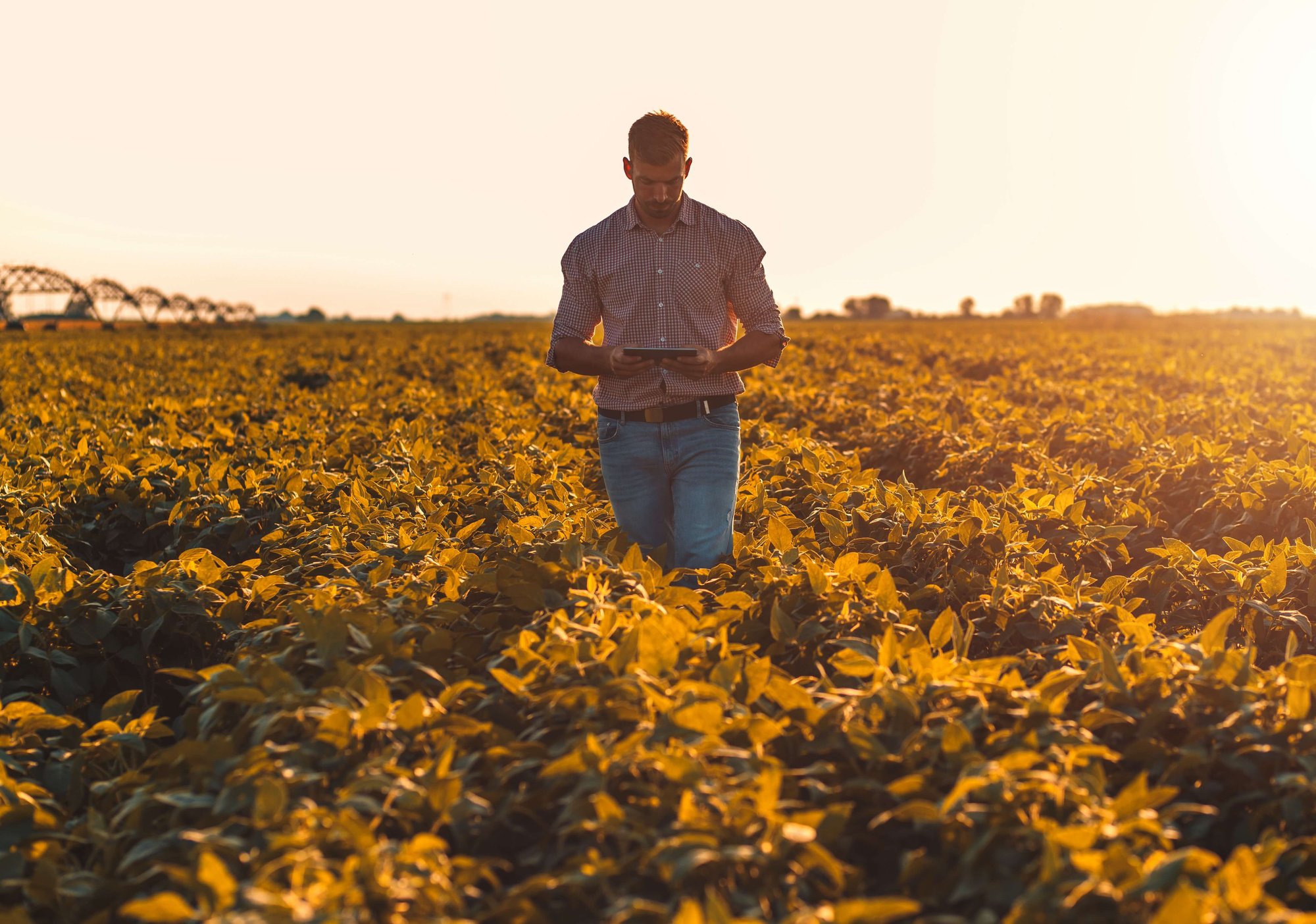 farm-cooperatives