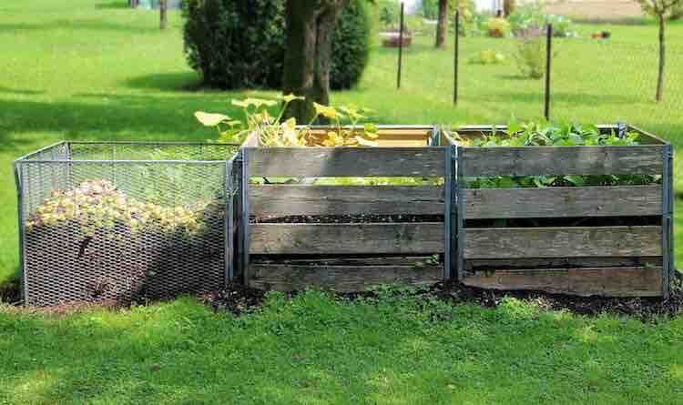 compost compost